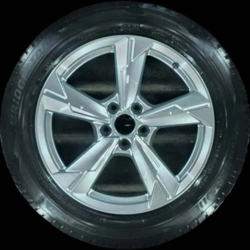 225 r18 winterreifen - 225/55,