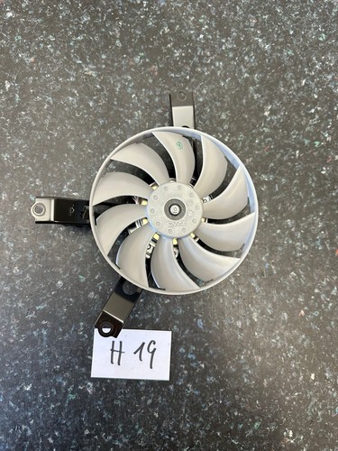 Kühler lüfter ventilator - lüfter,