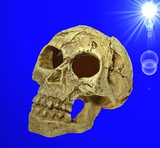 1A Aquarium Deko kleiner ❤