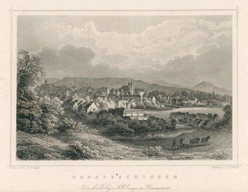 Donaueschingen gesamtansicht - donaueschingen,