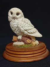Leonardo Nature Studies Figur