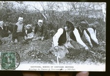 GUINGAMP KARTOFFELREISSER 