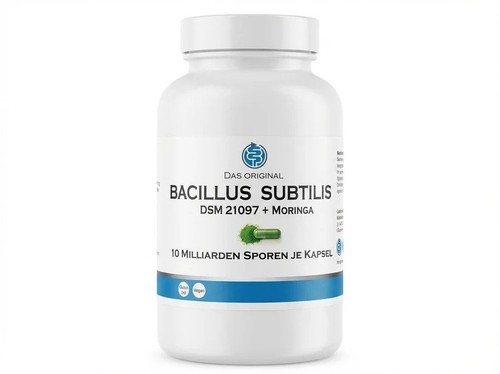Moringagarden bacillus - moringagarden,