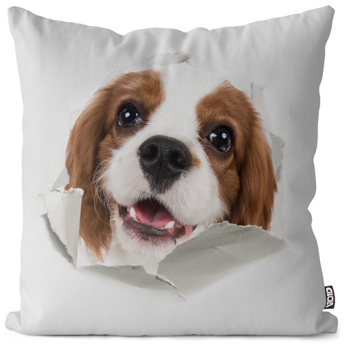 Hund haustier dog - hund,