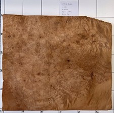 Ahorn Maserfurnier. 16 Blatt