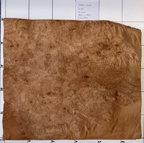 Ahorn maserfurnier blatt - maserfurnier., 16
