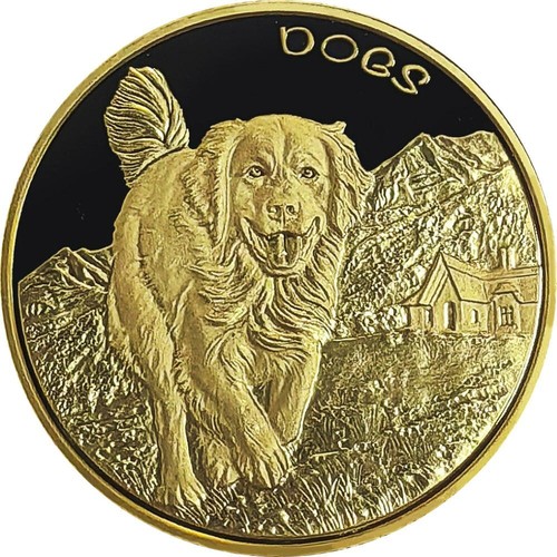 Fiji dogs gold 2022 - fiji, 5