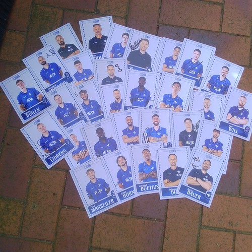 Darmstadt 30 - 98,