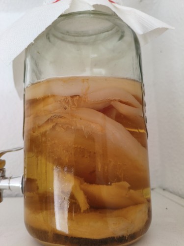 Echter jun kombucha - echter, ur-