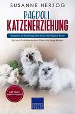 Ragdoll Katzenerziehung - Ratgeber zur Erziehung einer Katze der Ragdoll Rasse: