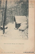 GERMANY - Heidelberg - Partie auf dem Fussweg zum Konigsstuhl