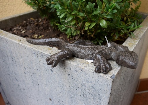 Deko reptil eidechse echse - eidechse,
