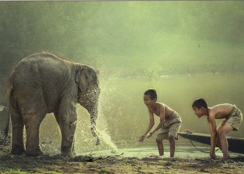 Postkarte asien in touch - postkarte,