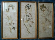 3 Bilder Getrockneten Blumen