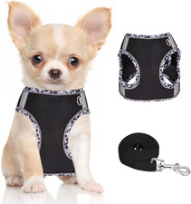 Hundegeschirr Kleine Hunde Mit