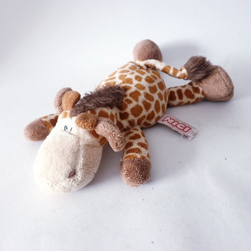 Nici giraffe wild - giraffe, friends