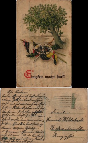 Ansichtskarte kastanienbaum - kastanienbaum,