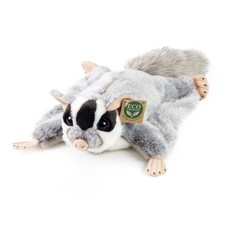 Sugar Glider