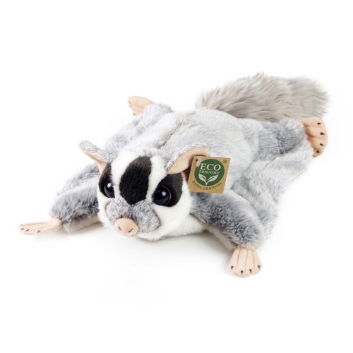 Sugar glider - sugar,