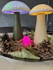 Herrnhuter Stern Sonderedition