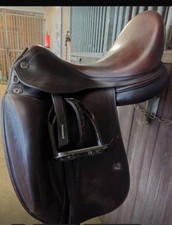 Prestige D2 17 Zoll, Monoblatt