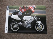 Prospekt   . Yamaha  TZ 250  ,, 1994  ,,Racer ,Rennmotorrad ,,,brochure,keine RD