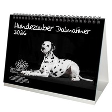 Hundezauber Dalmatiner DIN A5