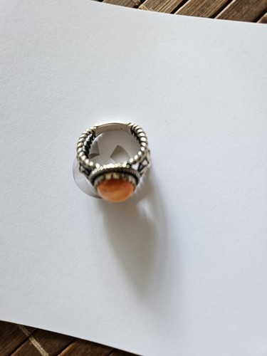 Orange stachelauster - stachelauster,