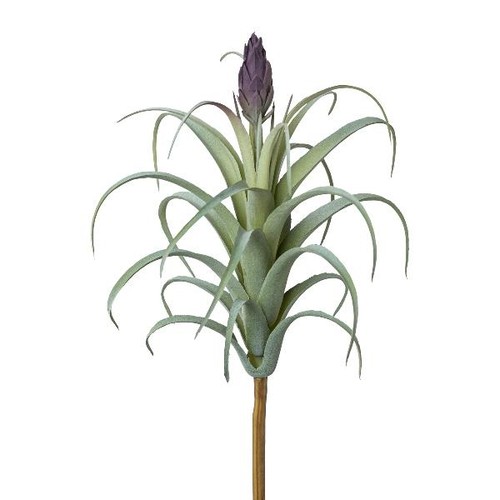 Artplants kunst sukkulente - artplants,