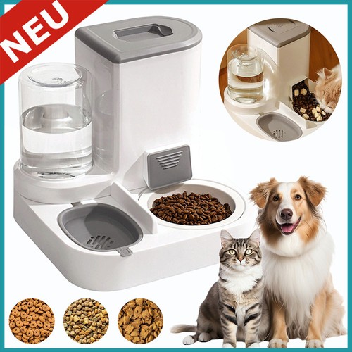 Katzen wasser und - katzen,