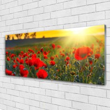 Glasbilder wandbild druck auf - glasbilder,