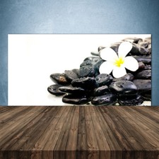 Küchenrückwand aus Glas ESG