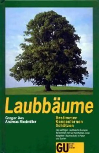 Laubbäume bestimmen - laubbäume.,
