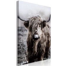 Tiere Wildkuh Stier Bulle