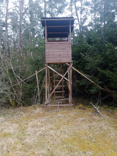 Jagdkanzel hochsitz - jagdkanzel,,