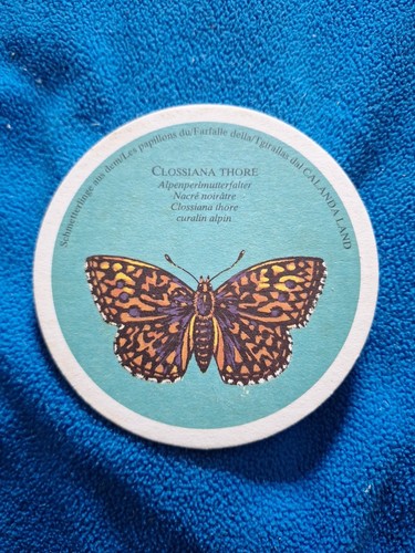 Bierdeckel schmetterling - bierdeckel,