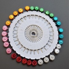 Lange Gänseblümchenstifte