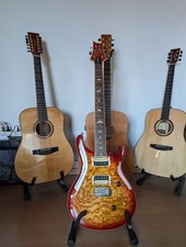 PRS SE Custom 24 Burled Ash