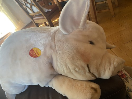 Steiff studiotier schwein - steiff,