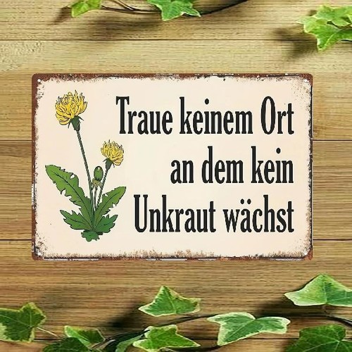 Blechschild traue keinem ort - blechschild,