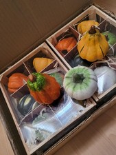 Deko kürbis aus - ton, 12er