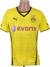 BORUSSIA DORTMUND 2013/2014