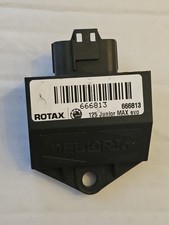 Genuine Rotax Max Dellorto