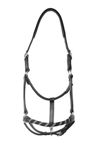 Lederhalfter pro west wb - lederhalfter, l-pro