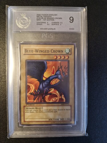 Pgs 9 blue winged - -,