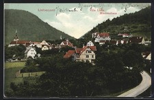 AK Liebenzell, Ortsansicht mit der Villa Lioba und dem Missionshaus 1910 