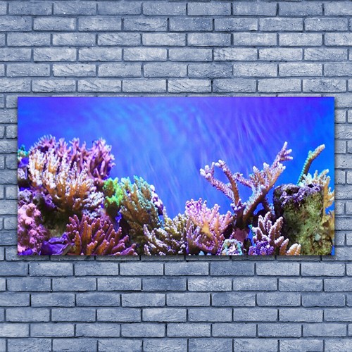 Acrylglasbilder wandbilder aus - wandbilder,