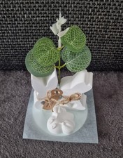 Kleine Hasen mit DEKO