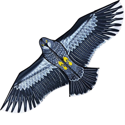 Zoll adlerdrachen - zoll,