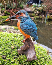 ❀ Eisvogel Lebensecht Garten